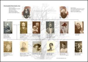 family tree case study