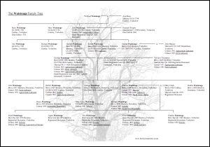 research my family tree